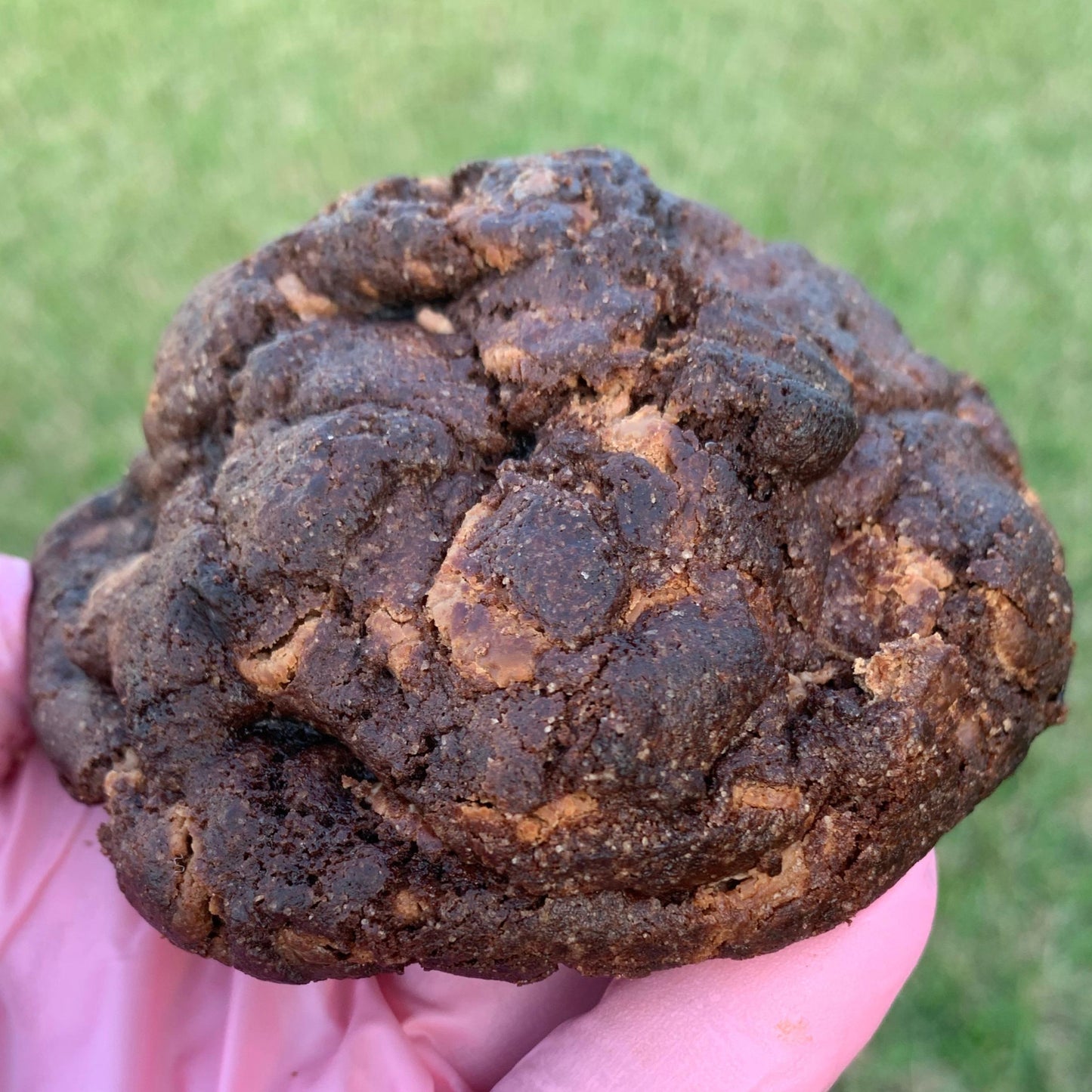 Dubai Chocolate- The OG