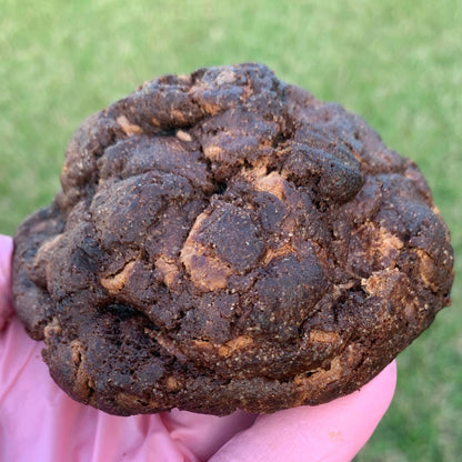 Dubai Chocolate- The OG